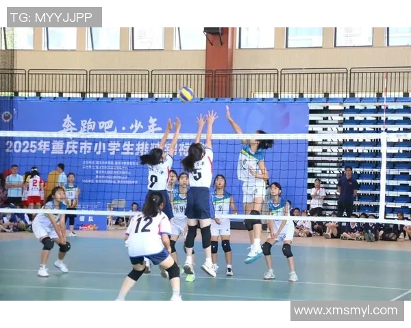 体育实时数据重庆排球队比赛经验深度解析助力排球运动发展与提升